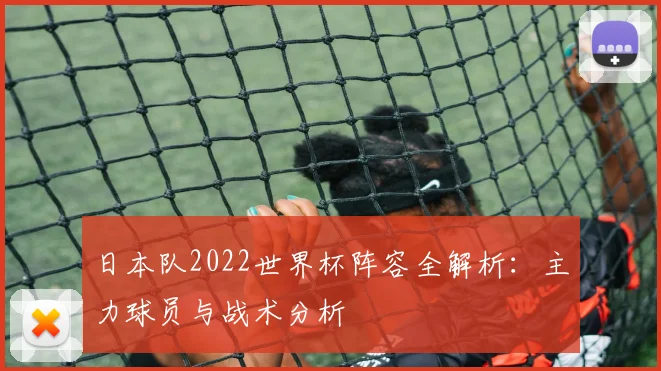 日本队2022世界杯阵容全解析：主力球员与战术分析