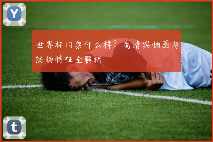 世界杯门票什么样？高清实物图与防伪特征全解析