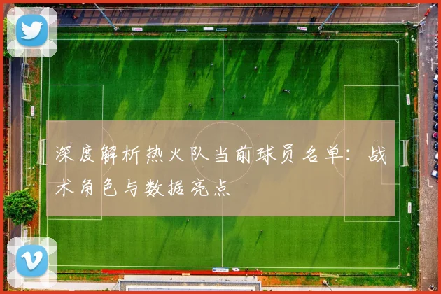 深度解析热火队当前球员名单：战术角色与数据亮点