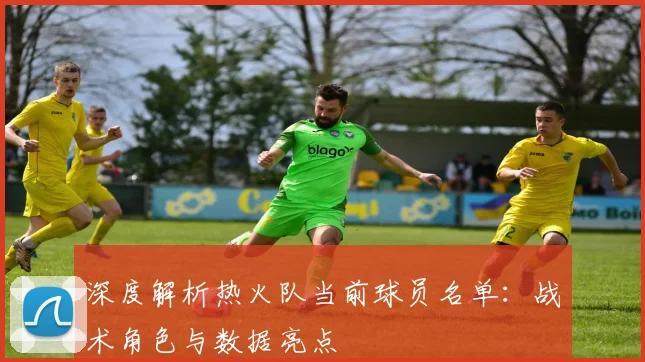 深度解析热火队当前球员名单：战术角色与数据亮点