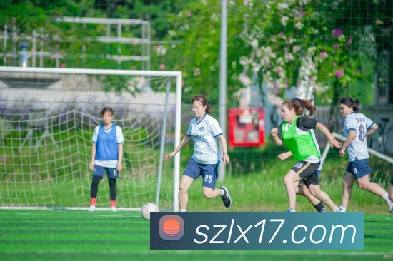 开云手机在线官网登录全站App